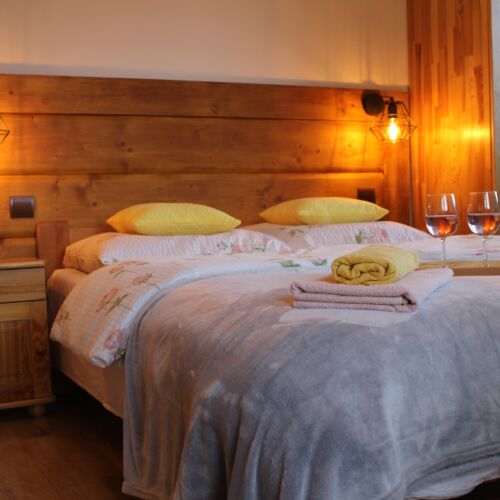 Pokój 2-osobowy z prysznicem z dostępem do ogrodu