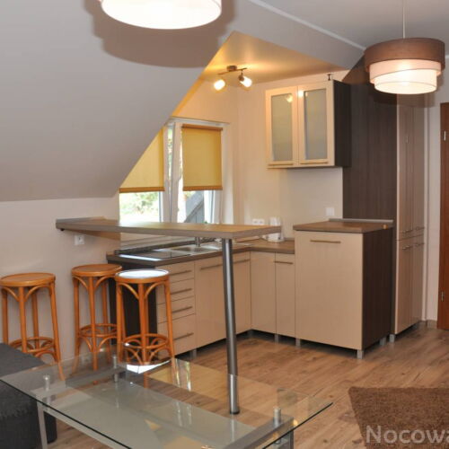 Apartament 3-osobowy z prysznicem z dostępem do ogrodu z 1 pomieszczeniem sypialnianym