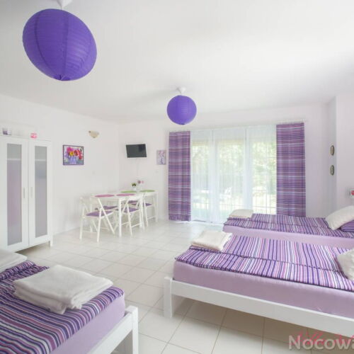 Pokoj s koupelnou s terasou pro 5 os.