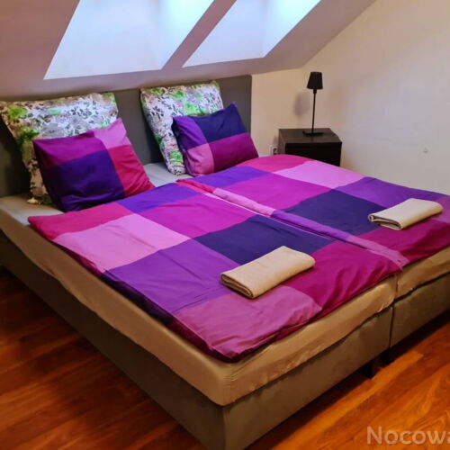 Pokoj se sprchou pro 2 os. v podkroví