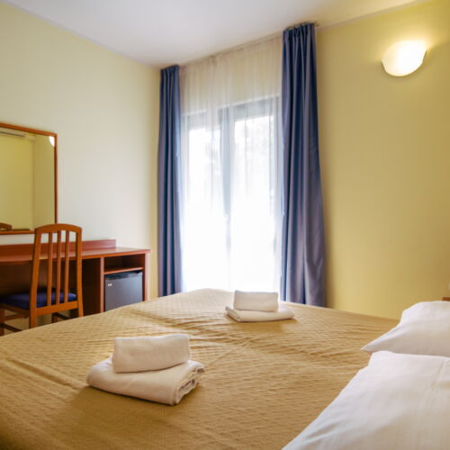 Camera twin standard cu vedere parțială spre mare