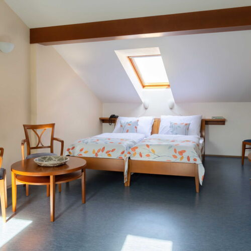 Apartament studio standard pentru 2 pers.