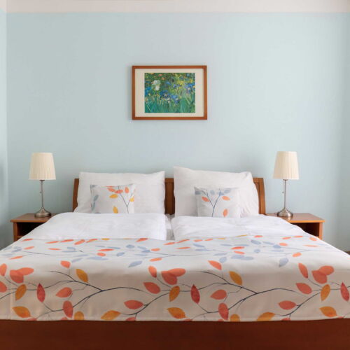 Apartament deluxe cu chicinetă proprie cu 1 camera pentru 2 pers.