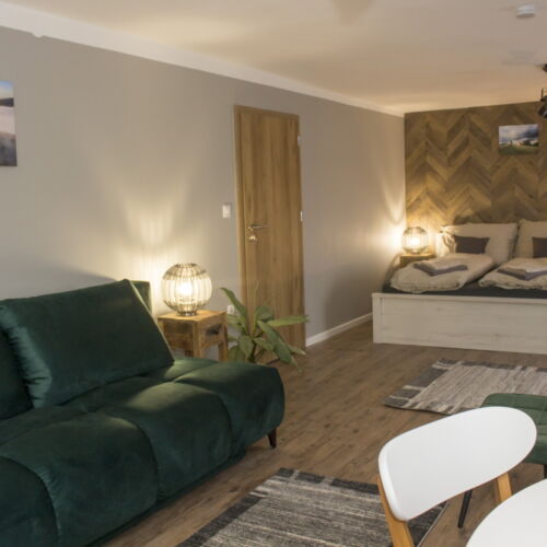 Apartament familial(ă) cu panoramă cu 1 camera pentru 2 pers. (se poate solicita pat suplimentar)