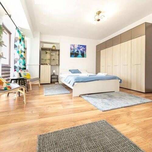 Apartament cu 1 camera pentru 2 pers.