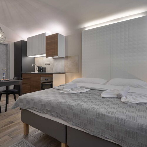 Studio Pokoj se sprchou pro 2 os.