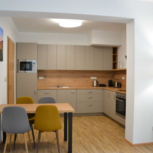 Apartman se sprchou s vlastní kuchyňkou pro 4 os. s 1 ložnicí (s možností přistýlky)