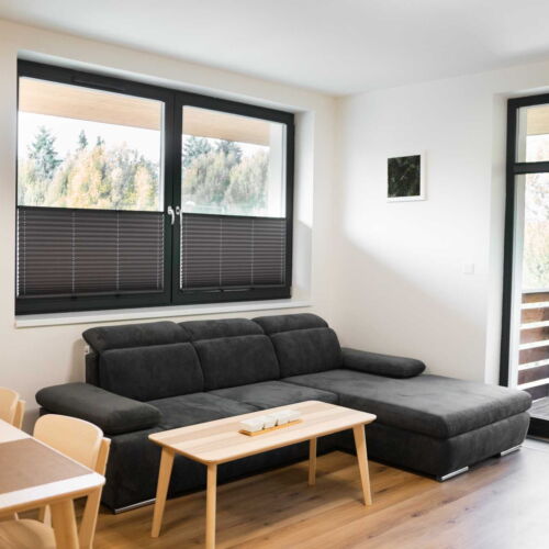 Apartman se sprchou s privátní koupelnou mimo apartmán pro 6 os.