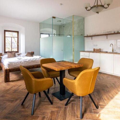 Studio Apartman se sprchou s manželskou postelí s 1 ložnicí (s možností přistýlky)