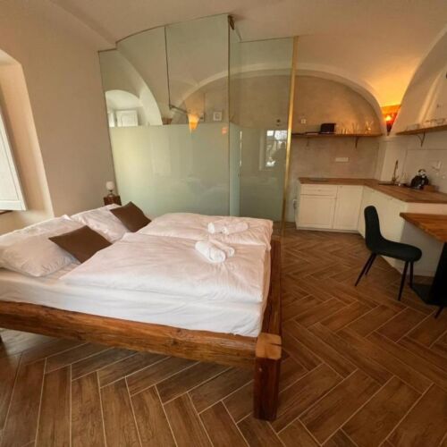 Studio Apartman se sprchou s manželskou postelí s 1 ložnicí