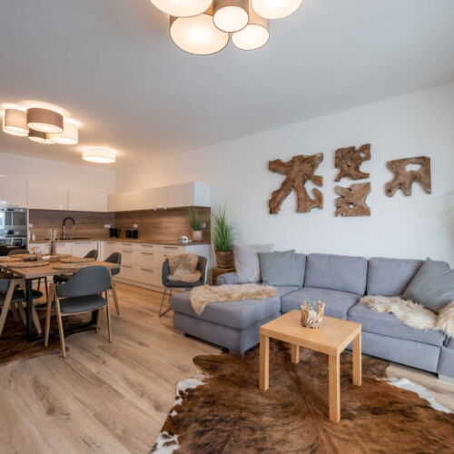 Apartament cu duș cu bucătărie proprie pentru 4 pers. (se poate solicita pat suplimentar)