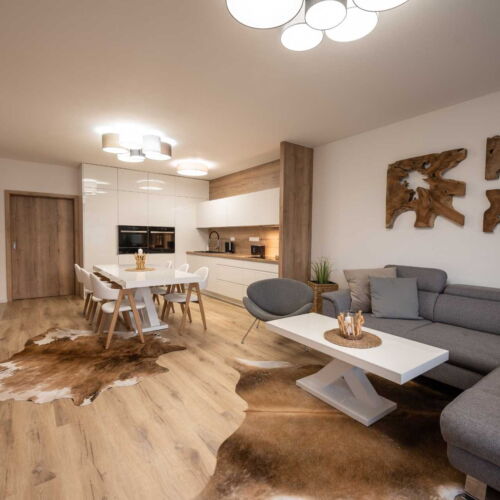 Apartament deluxe cu duș pentru 4 pers. (se poate solicita pat suplimentar)