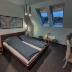 Camera dubla deluxe cu aer condiționat (se poate solicita pat suplimentar)