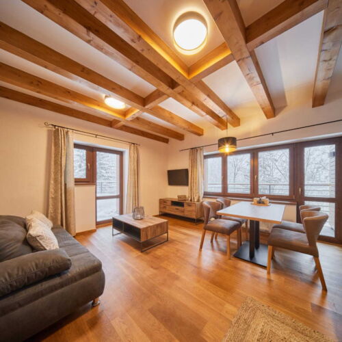 Apartman s terasou s manželskou postelí s 1 ložnicí s výhledem na hory (s možností přistýlky)