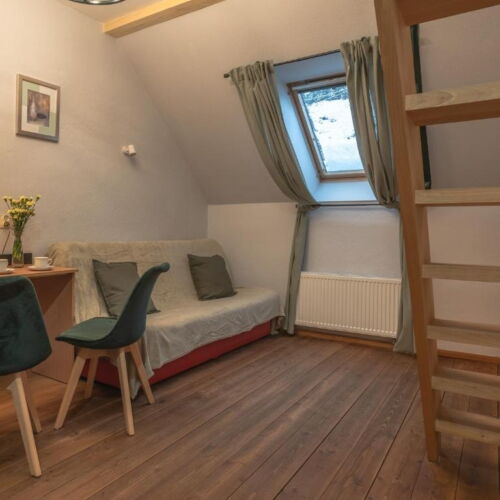 Pokój 3-osobowy z łazienką z widokiem na ogród