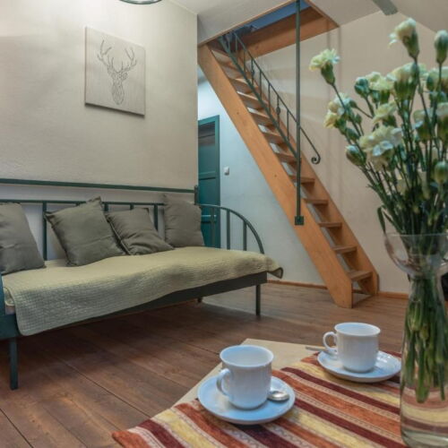 Apartament 4-osobowy Studio z widokiem na ogród z 2 pomieszczeniami sypialnianymi