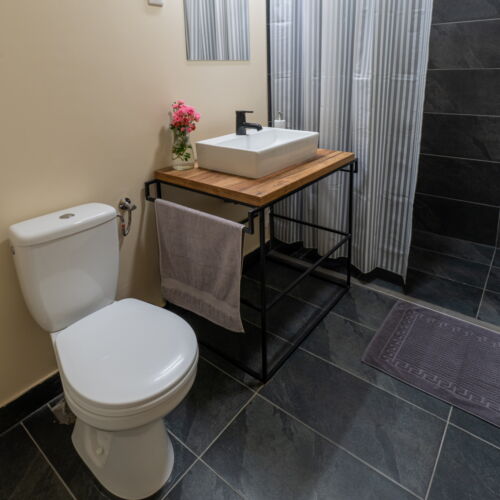 Camera dubla standard Plus la parter (se poate solicita pat suplimentar)