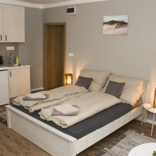 Camera dubla la etaj cu chicinetă proprie (se poate solicita pat suplimentar)