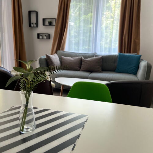 Apartament familial(ă) cu terasă pentru 6 pers. (se inchirieaza doar integral)