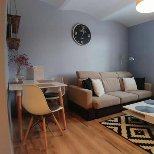 Business 2-Room Family Apartment for 5 Persons (extra bed available)