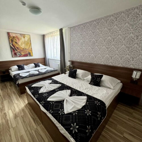 Camera cvadrupla cu vedere spre grădină