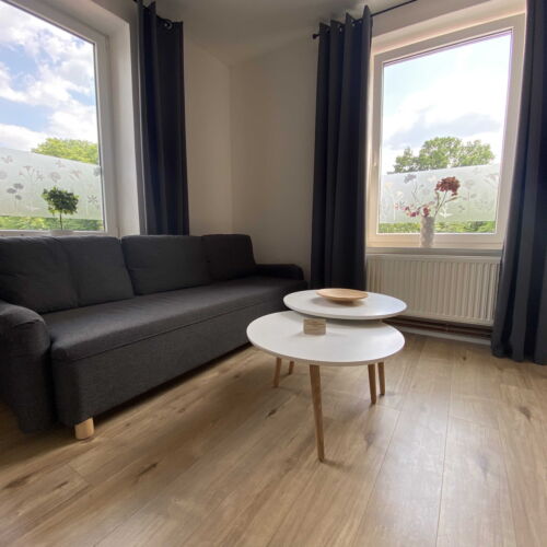 1-Room Apartment for 2 Persons with Shower and Kitchenette (extra beds available)