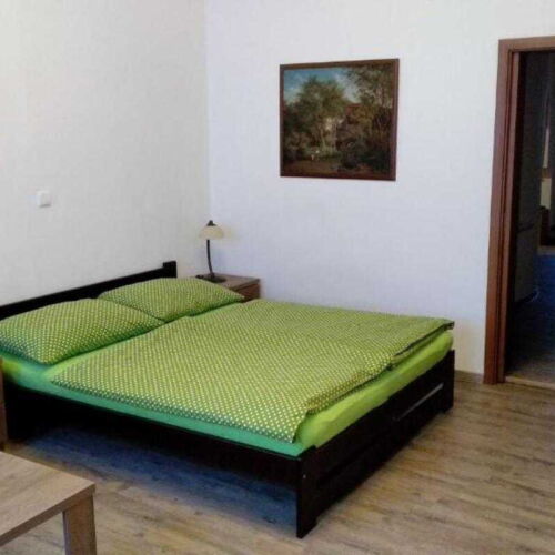 Ground Floor 1-Room Apartment for 2 Persons with Kitchenette (extra bed available)