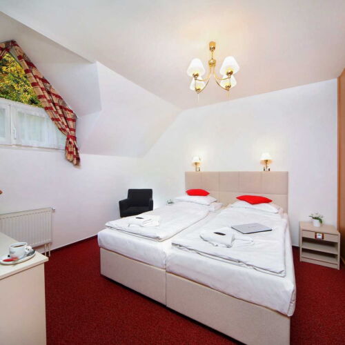 Pokoj se sprchou  pro 2 os.