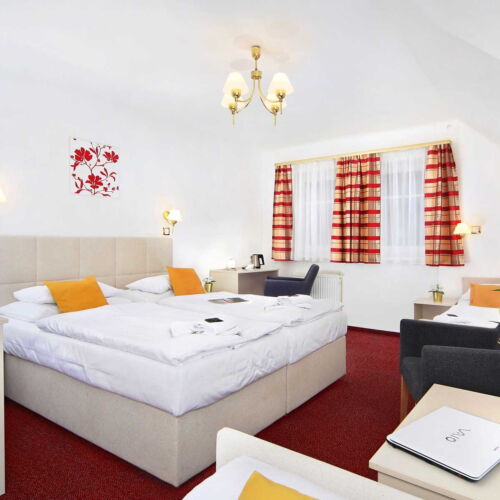 Deluxe Pokoj se sprchou pro 4 os.