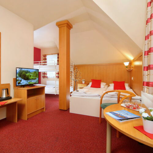 Studio Pokoj se sprchou pro 5 os.