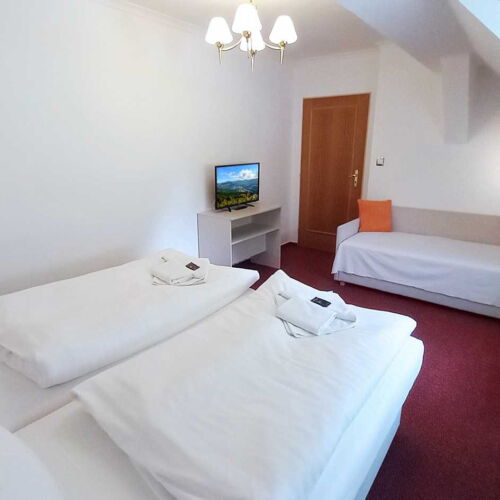 Komfort Pokoj se sprchou pro 3 os.