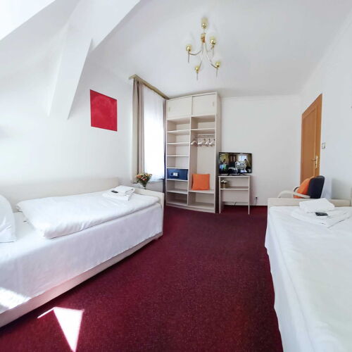 Dvoulůžkový pokoj DELUXE č. 205 s oddělenými lůžky