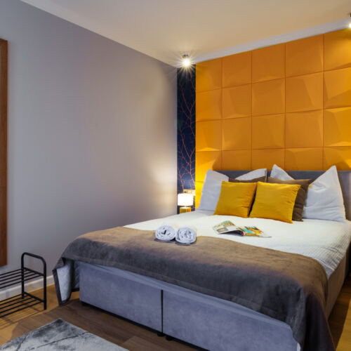 Camera dubla (se poate solicita pat suplimentar)