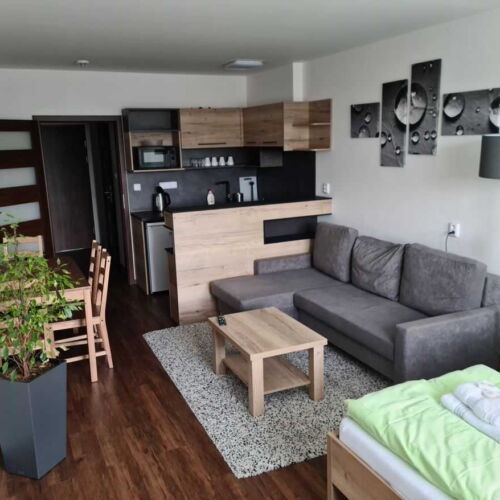 Pokoj se sprchou s vlastní kuchyňkou pro 2 os.