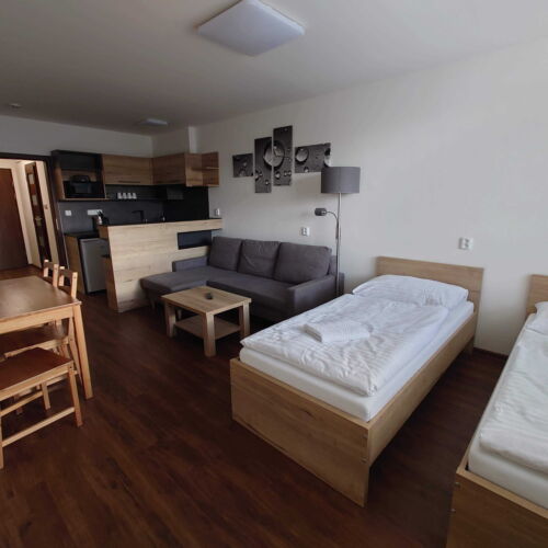 Apartman se sprchou s vlastní kuchyňkou pro 4 os.