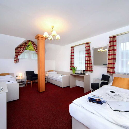 Pokoj se sprchou  pro 3 os.