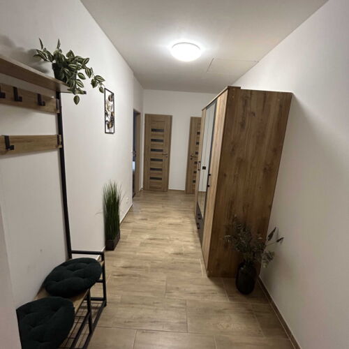 Pokoj se sprchou  pro 2 os.