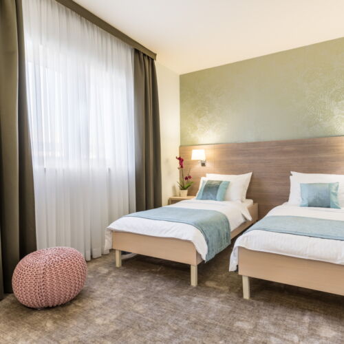 Camera twin standard cu vedere spre oraș