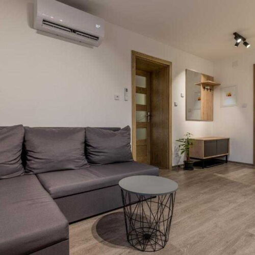 Apartman se sprchou s privátní koupelnou mimo apartmán pro 3 os. (s možností přistýlky)