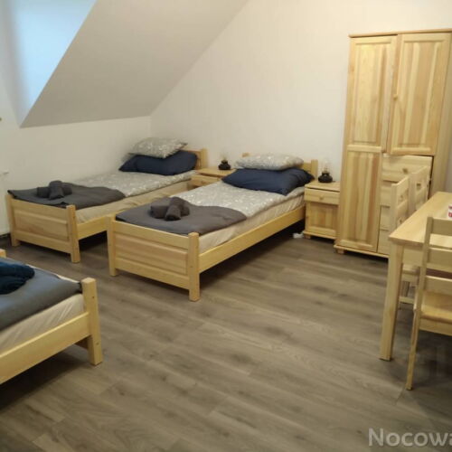 Camera cvadrupla cu gradina cu cadita de dus