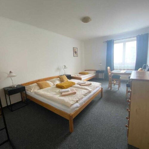 Pokoj se sprchou  pro 3 os.