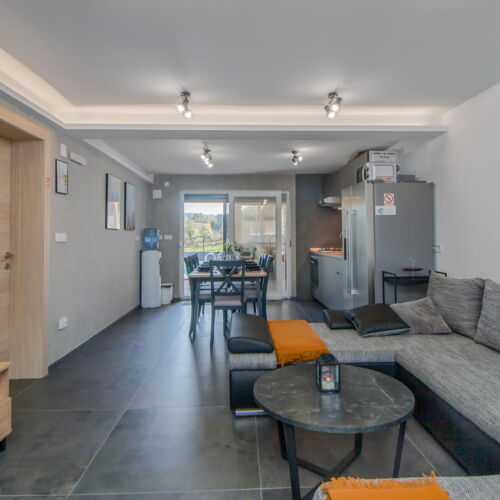 Casă de vară pentru 7 pers. (se inchirieaza doar integral)