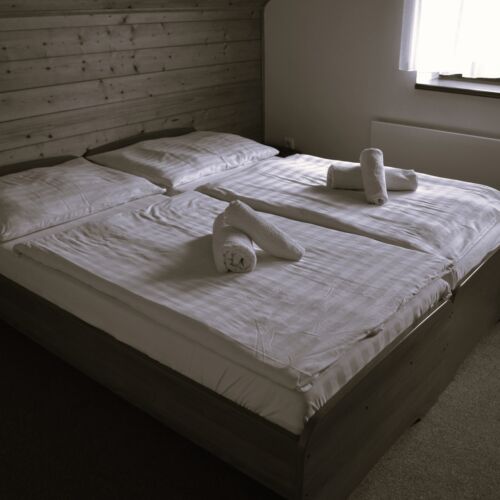 Double Room with Shower