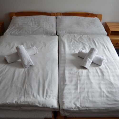Standard Forest View Double Room