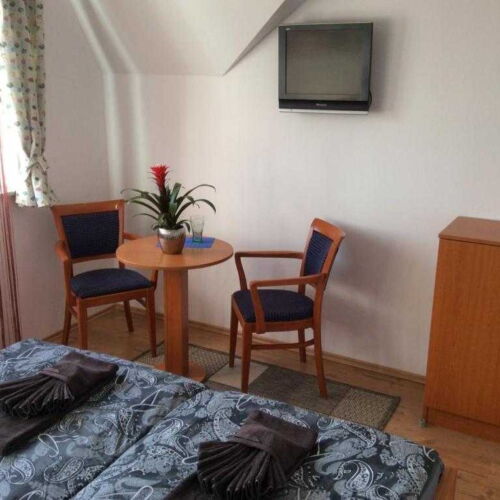 Pokoj se sprchou  pro 2 os.