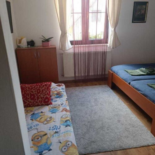 Pokoj se sprchou  s manželskou postelí (s možností přistýlky)