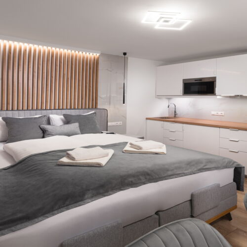 Studio Mountain View 1-Room Apartment for 2 Persons