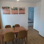 Apartament la parter cu aer conditionat cu 1 camera pentru 2 pers.