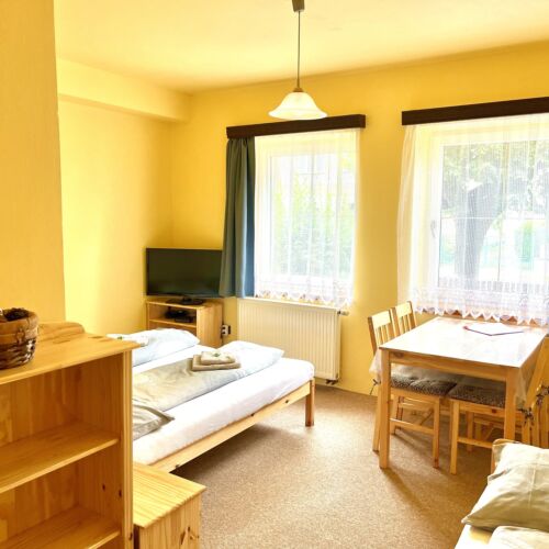 Pokoj se sprchou s privátní koupelnou mimo apartmán pro 4 os.