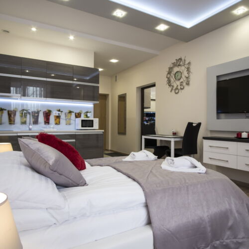 Studio 1-Room Apartment for 2 Persons